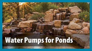 How to Choose a Koi Pond Water Pump [upl. by Cart115]