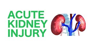 Nephrology  Kidney and Nephron Overview [upl. by Adahs]