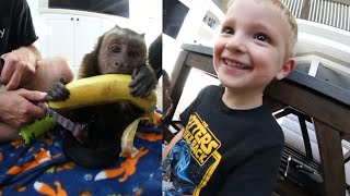 4 Year Old Meets Monkey [upl. by Burnaby912]