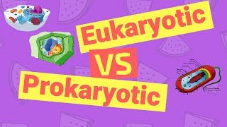 Difference Between Prokaryotic and Eukaryotic Cells [upl. by Nolla]