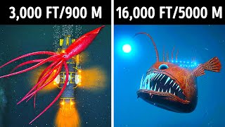 Fascinating 3D Journey to the Ocean Depths [upl. by Somisareg203]