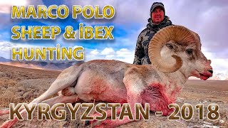 Marco Polo sheep amp Ibex hunting Kyrgyzstan 2018 [upl. by Aitnecserc]