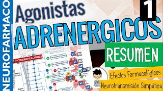 SIMPATICOMIMÉTICOS RESUMEN CLASIFICACIÓN Sinapsis Adrenérgica Receptores adrenérgicos PARTE 1 [upl. by Airun]