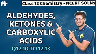 Aldehydes Ketone amp Carboxylic Acids Class 12  Chemistry Chapter 12 NCERT Solutions Questions 1013 [upl. by Ecinert660]