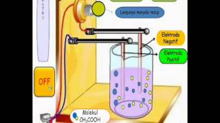 Larutan Elektrolit [upl. by Weidman]