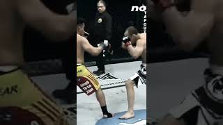 Rampage Jackson vs Wanderlei Silva IV Highlights [upl. by Akamahs]