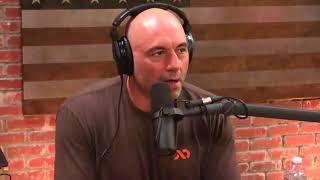 Joe Rogan on the MMA vs Boxing Debate [upl. by Ydor]