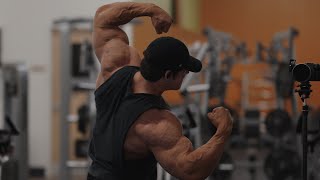 IFBB Pro Arm Workout [upl. by Lasonde]