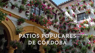 Visita Guiada Patios de Córdoba  ArtenCórdoba [upl. by Ysnat484]