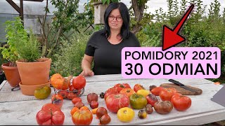 30 0DMIAN POMIDORÓW 2021 POMIDORY ROSYJSKIE UPRAWA POMIDORÓW Kasia in pomidory 2021 [upl. by Onaivatco]