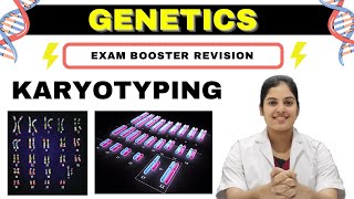 GENETICS  Karyotyping  Basics Procedure amp Application  MedSeed MBBS [upl. by Anael]