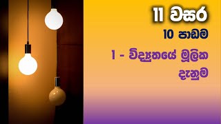 OL Science Sinhala  Grade 11 Science Unit 10  Part 1  විද්‍යුතයේ මූලික කරුණු [upl. by Greyso]