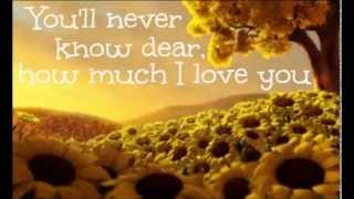 Elizabeth Mitchell  You Are My Sunshine lyrics [upl. by Bekki]