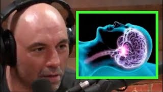 Joe Rogan  The Science of Sleep [upl. by Nirag]