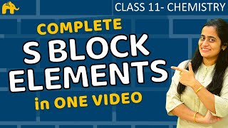 S block elements class 11 one shot  Chapter 11  CBSE JEE NEET NCERT Hindi [upl. by Jerad166]