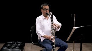 Instrument Bass Clarinet In Depth [upl. by Keeton960]