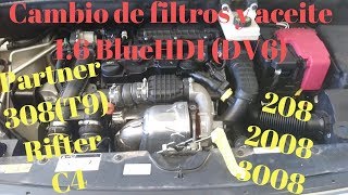 Cambio de filtros y aceite 16 blueHDI Peugeot citroen Partner 308 T9 Rifter [upl. by Farika]