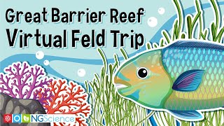 Great Barrier Reef – Virtual Feld Trip [upl. by Sandor830]