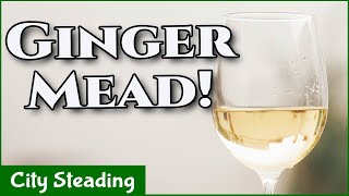 Homemade Honey Mead Ginger Mead Ginger Metheglin Easy Recipe [upl. by Grekin]