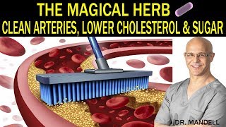 THE MAGICAL HERB THAT CLEANS ARTERIES LOWERS CHOLESTEROL amp SUGAR  Dr Alan Mandell DC [upl. by Loydie]