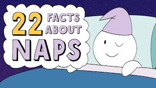 22 Facts About Naps [upl. by Garson239]