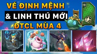 HÉ LỘ ĐTCL MÙA 4  VÉ THIÊN HÀ ĐỊNH MỆNH amp LINH THÚ MỚI CỰC CUTE [upl. by Eicyak]