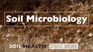 Soil Basics Soil Microbiology [upl. by Kulda]