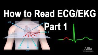 How to Read ECGEKG Part 1 Animation [upl. by Iohk492]