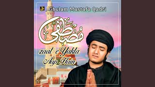 Mustafa E zaat e Yakta Aap Hain [upl. by Yrffej]