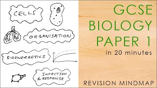 BIOTECHNOLOGY  PRINCIPLES AND PROCESSES in One Shot  All Theory Tricks amp PYQs  Class 12  NEET [upl. by Yenruoc531]