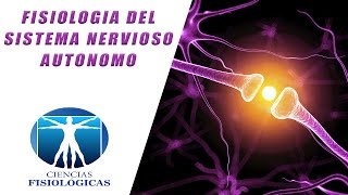 Fisiologia del Sistema Nervioso Autonomo [upl. by Sondra]