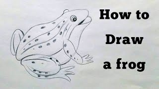 How to draw a frog  Pencil drawing [upl. by Shaddock]