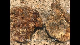 Myrrh Video MyrrhCommiphora myrrha What is this resin and how to use it [upl. by Eibloc21]