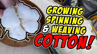 Growing Spinning and Weaving Cotton [upl. by Itsirhc]