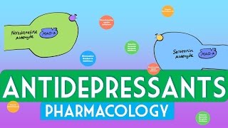 Antidepressants Pharmacology  Soton Brain Hub [upl. by Swanson]