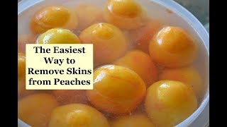 The Easiest Way to Remove the Skins from Peaches [upl. by Buderus]