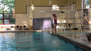 Teach a Flip for Springboard Diving [upl. by Fox]