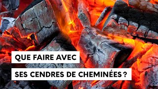 Que faire avec ces cendres de cheminée [upl. by Casavant34]