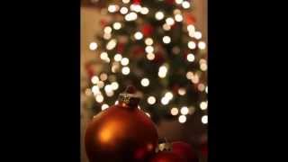 Bing Crosby  I Wish You A Merry Christmas [upl. by Wilone]