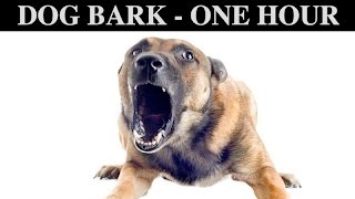 Sound Effects Of Dog Barking  ONE HOUR  BARK  GROWLING  CRY  PUPPY  WHINING  HQ [upl. by Egduj307]