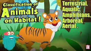 HABITAT OF ANIMALS  Classification Of Animals On Habitat  The Dr Binocs Show  Peekaboo Kidz [upl. by Michail]