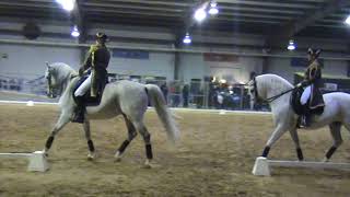 World Famous Lipizzaner Stallion Show [upl. by Nigen187]