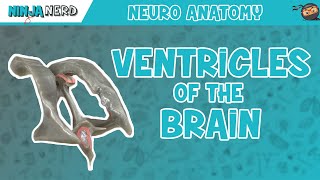 An Overview of the Ventricular System of Brain [upl. by Donnenfeld5]