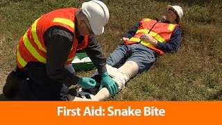 First Aid Snake Bite  Safety Training Video [upl. by Nickles117]