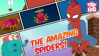 How Amazing Are Spiders  The Dr Binocs Show  Best Learning Videos For Kids  Peekaboo Kidz [upl. by Oalsecnew]