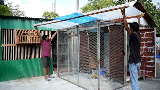 How to Make Pigeon Breeding House Easy and DIY [upl. by Izaak]