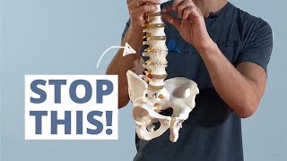 Degenerative Disc Disease Exercises  SpineCare St Joseph MI Chiropractic [upl. by Mab]