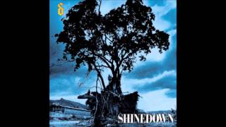 Simple Man  Shinedown Acoustic [upl. by Pius478]