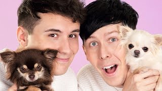 Dan and Phil AND DOGS [upl. by Estrellita]