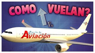 ¿Cómo hace un avión para volar [upl. by Avictor]